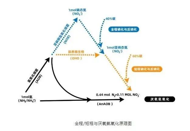 广东污水处理公司示范低浓度氨氮工业废水处理常见解决方案